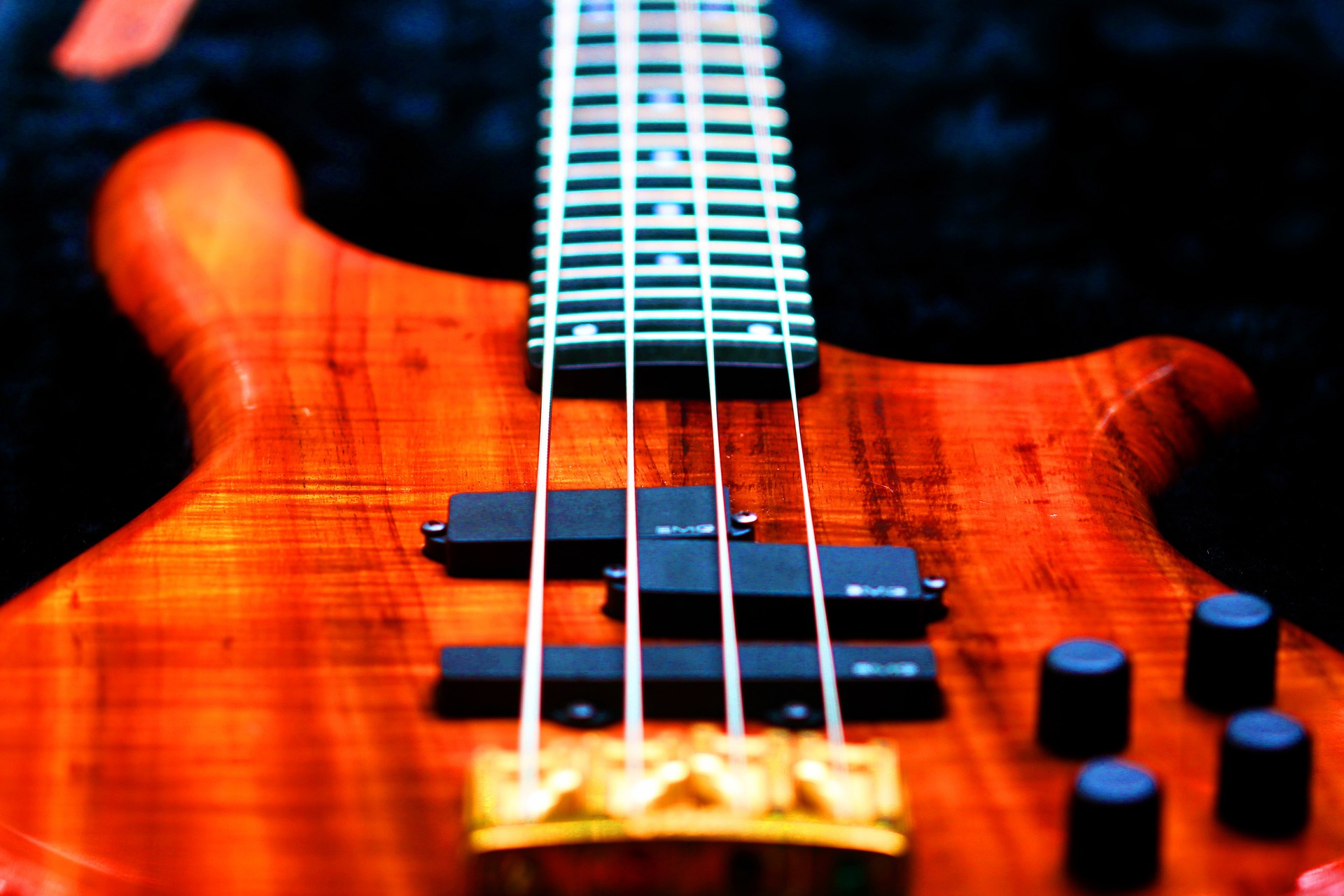 bass-776542_1920
